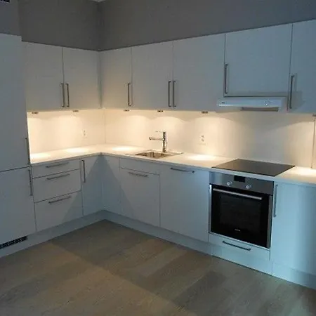 Sonderland Apt - Dronning Eufemias Gate 20-22 奥斯陆