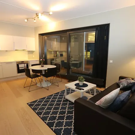 Sonderland Apt - Dronning Eufemias Gate 20-22 公寓